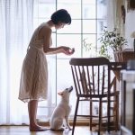 【獣医さんも驚いた】毎日5分でできる愛犬の健康チェック法〜早期発見で守る大切な家族